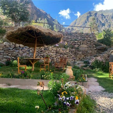 Inka Khawarina Tambo Lodge Олантаятамбо Екстериор снимка